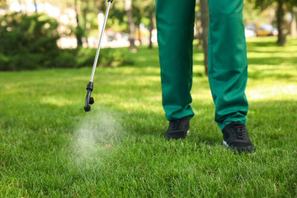 Pest Control Cost in Whittier, CA